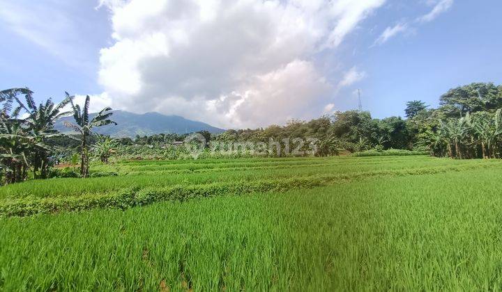 Tanah Best View Gunung salak Daerah Cijeruk Bogor  1