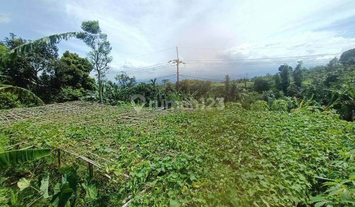 Tanah Best View Gunung salak Daerah Cijeruk Bogor  2