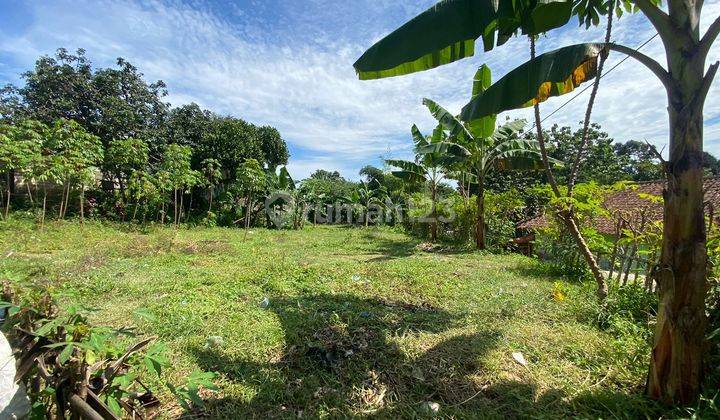 Dijual Murah Tanah Luas View Gunung Salak di Cijeruk Bogor 2