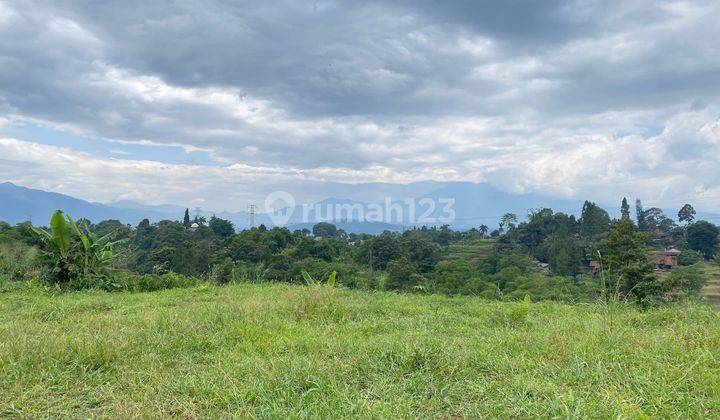 Tanah Luas di Sukaraja Gunung Geulis, Bogor SHM 1 Ha 1