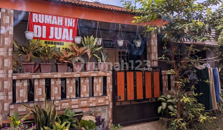 Rumah Bagus Full Furnis Akses Mobil Di Sanja, Citeureup, Bogor.