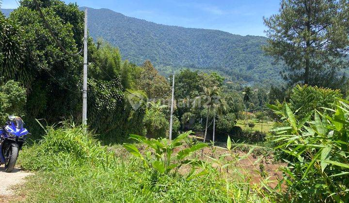 Tanah Murah Untuk Usaha di Cigombong , Bogor 5.200 m² 2