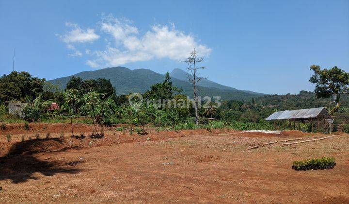 Tanah Cocok Camp Ground di Cijeruk Tajur Halang 14 Ha  2