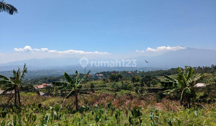 Tanah Cocok Camp Ground di Cijeruk Tajur Halang 14 Ha  1