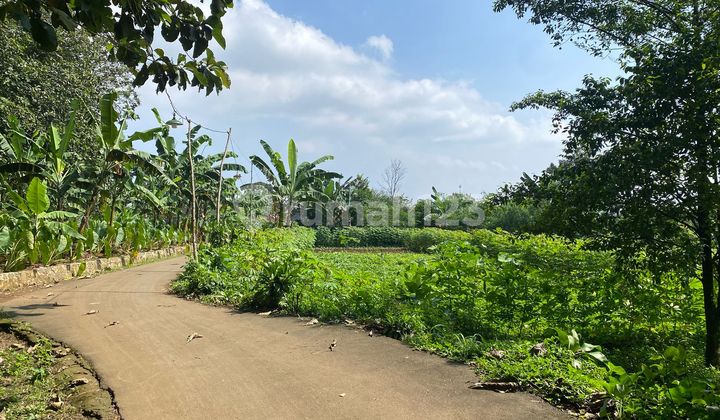 Tanah Datar View Gunung Pangrango Di Cijeruk Bogor