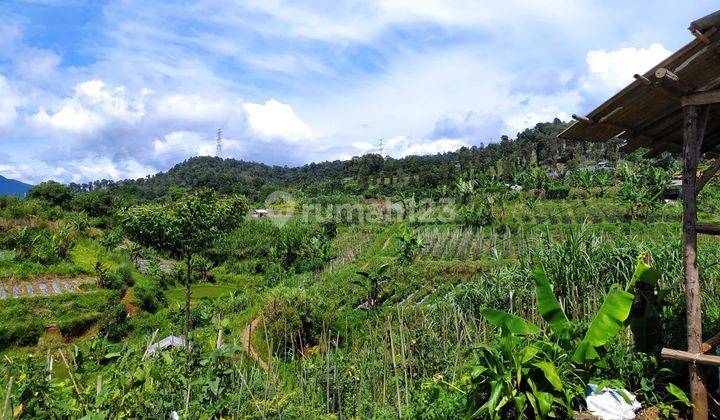 Tanah Murah di Kabandungan Sukabumi, Sukabumi SHM 20 Ha 1