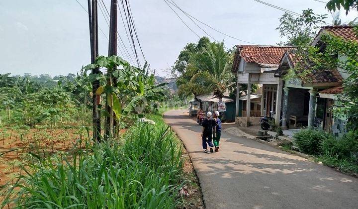 Tanah Kebun Luas di Jl. Hambalang, Citeureup, Bogor SHM 1,2 Ha 1