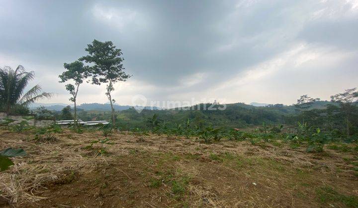 Tanah Strategis Jalan Utama Shm Di Sukamakmur Bogor 1