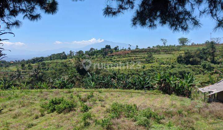 Tanah Luas Untuk Camground di Palasari Cijeruk, Bogor, SHM 2