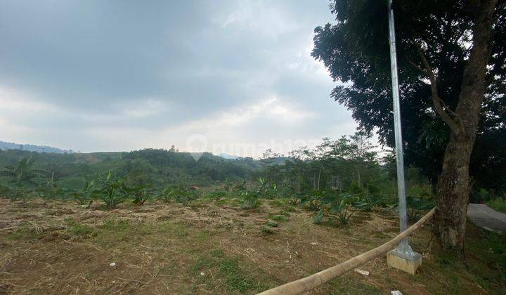 Tanah Strategis Jalan Utama Shm Di Sukamakmur Bogor 2