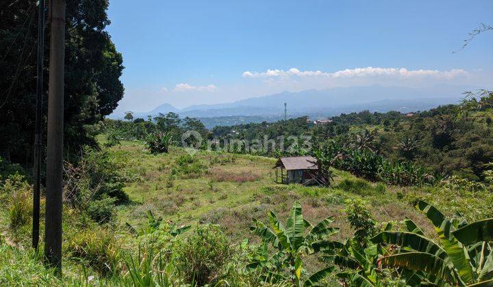 Tanah Luas Untuk Camground di Palasari Cijeruk, Bogor, SHM 1