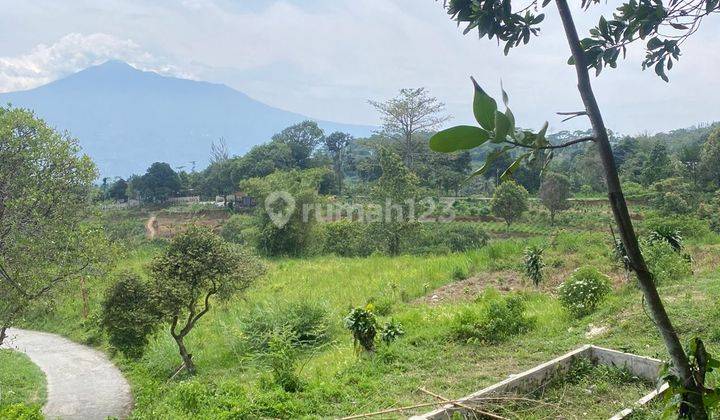 Tanah di Tajur Halang Cijeruk, Bogor Dekat Curug, SHM 7.000 m² 1