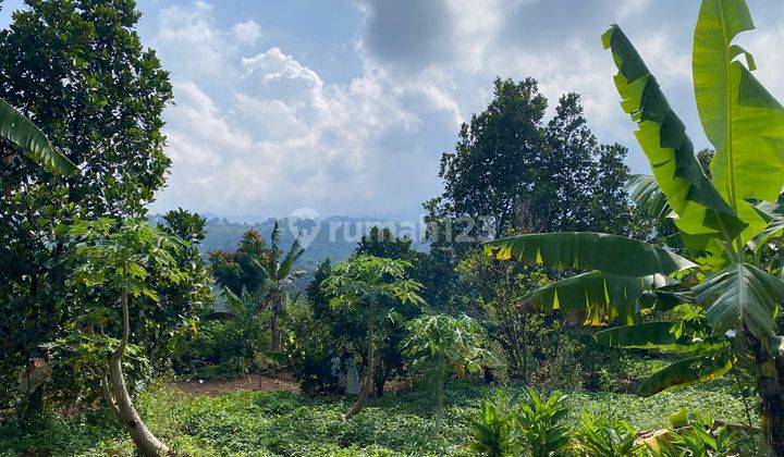 Tanah Dan Villa Luas di Gunung Geulis Sukaraja , Bogor 2.400 m² 2