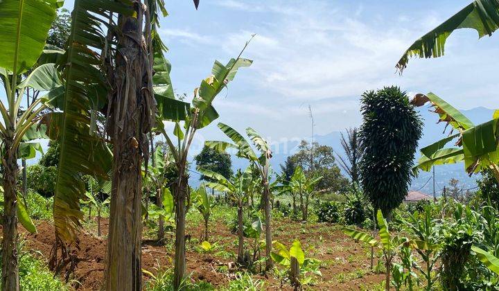 Tanah Murah di Cisalada Cigombong, Bogor 5.600 m² 2