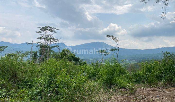 Tanah Murah di Pabuaran Sukamakmur , Bogor SHM 4.000 m² 2