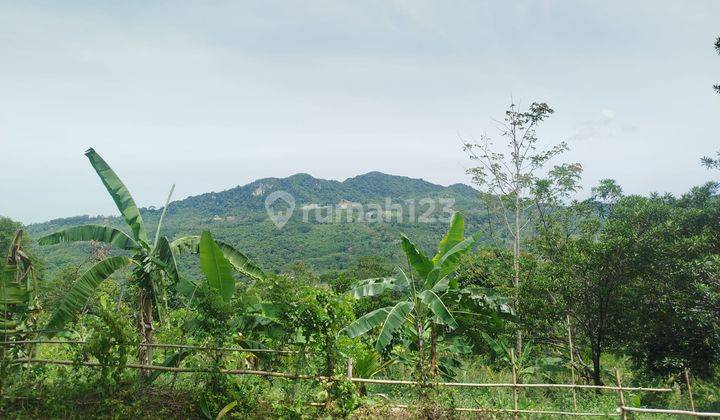 Tanah View Bukit di Sukamakmur Citeureup , Bogor SHM 9.000 m² 1