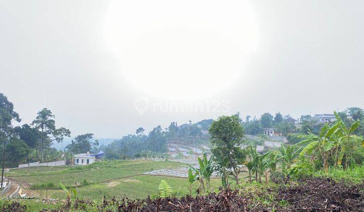 Tanah Luas Lahan Asri di Jl. Cigombong , Bogor 4.000 m² 1