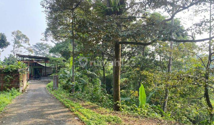 Tanah Kebun di Tajur Halang Cijeruk, Bogor SHM 6.800 m² 1