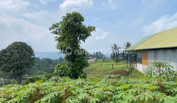 Tanah Murah di Gunung Geulis Sukaraja, Bogor SHM 2.000 m² 1