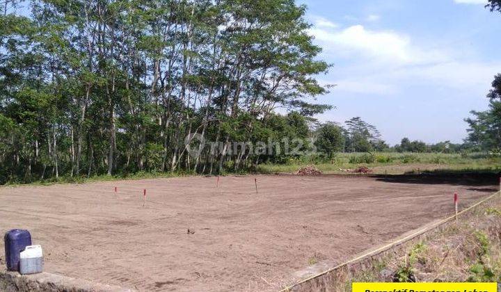 Beli Tanah Murah Dekat Tol Sentul Hanya 70 Jt An Free Shm  1