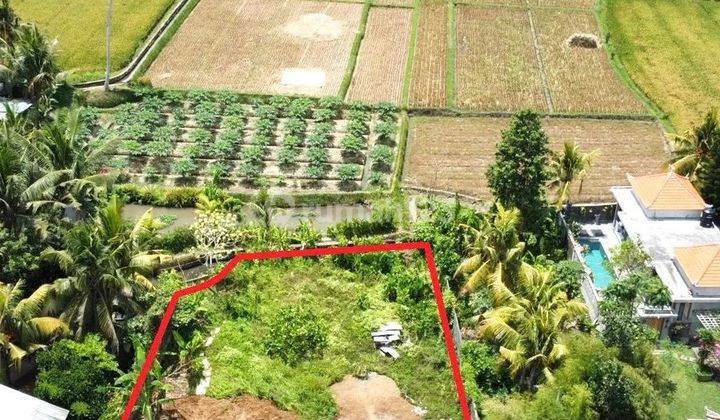 Tanah di Ubud View Sawah berada di Lingkungan Villa 1