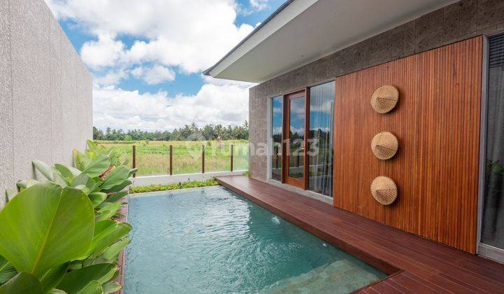 Fully furnished rice field view villa in Lodtunduh, Ubud 2