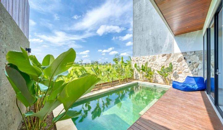 Brand New Villa Dengan View Sawah Di Munggu Bali 2