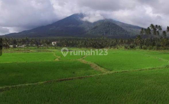 Jual cepat tanah agrobisnis plus agrowisata dengan view terbaik gunung klabat - Minahasa Utara 1