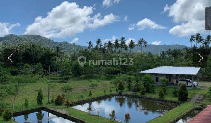 Jual cepat tanah agrobisnis plus agrowisata dengan view terbaik gunung klabat - Minahasa Utara 7