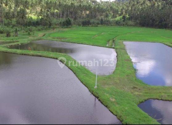 Jual cepat tanah agrobisnis plus agrowisata dengan view terbaik gunung klabat - Minahasa Utara 8
