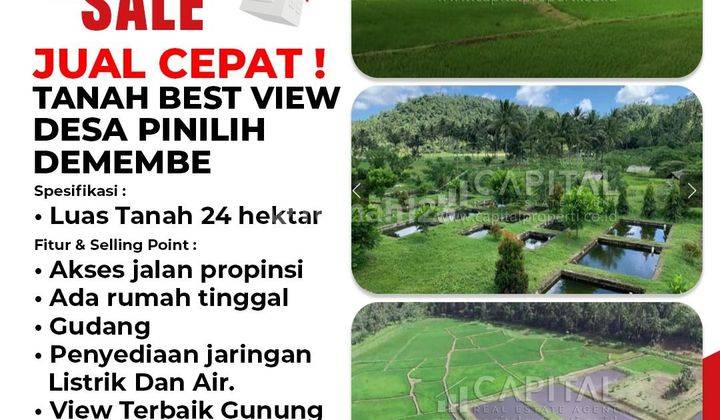 Jual Cepat harga murah lahan potensial, strategis sebagai agrobisnis plus  agrowisata, produktif utk pertanian,  perkebunan Dan peternakan yg potensial di Desa pinilih, dimembe , Sulawesi utara. 1