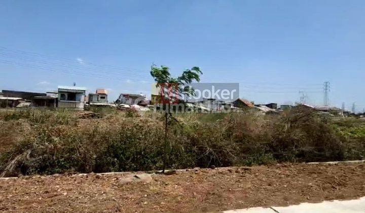 Jual Tanah Siap Pakai Luas 2000m di Tanjung Mas, Semarang 8228 2