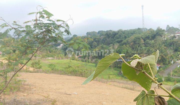 Jual tanah di citeko Cisarua puncak Bogor dekat taman safari  1