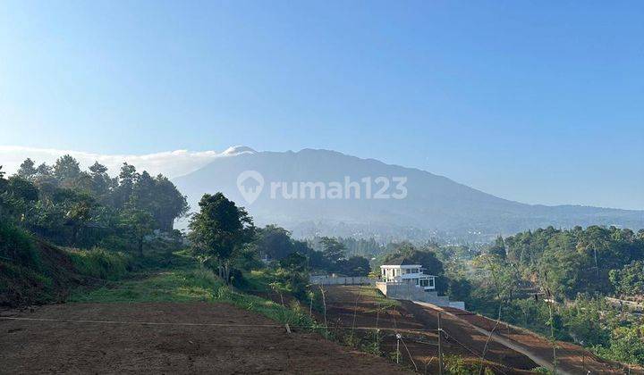 Di  Tanah Kavling Sultan Puncak Bogor Luas 1555 Meter Ideal Untuk Villa Komersil 2