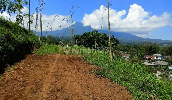 Jual Tanah Murah Shm Siap Bangun Di Puncak Bogor 2