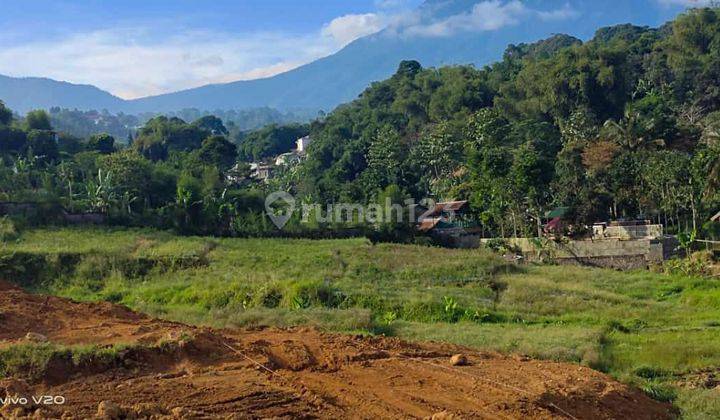 Tanah Murah Shm Strategis Siap Bangun Di Puncak Bogor 2