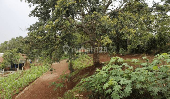 Rumah Villa Lahan Leluasa View Mountain 11
