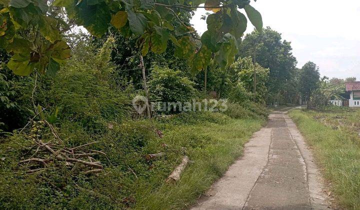 Tanah SHM Murah Bangunharjo Sewon Bantul Yogyakarta 2