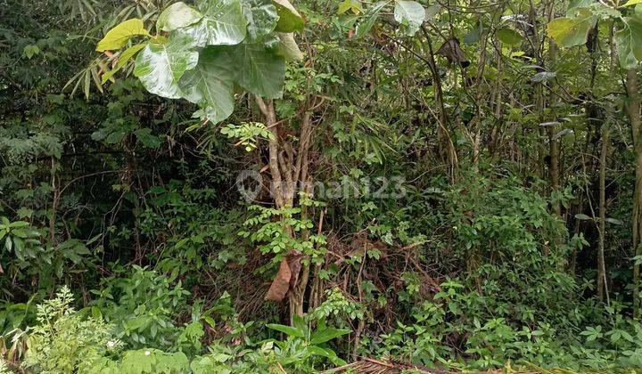 Tanah Sawah Hook Di Balecatur Gamping Sleman Yogyakarta 1