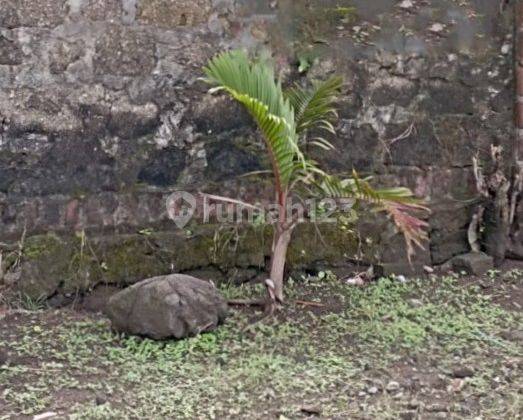 Tanah SHM Murah Bangunharjo Sewon Bantul Yogyakarta 1