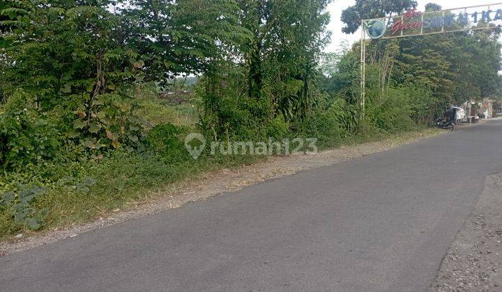 Tanah Sawah Di Tamanmartani Kalasan Sleman Yogyakarta 2