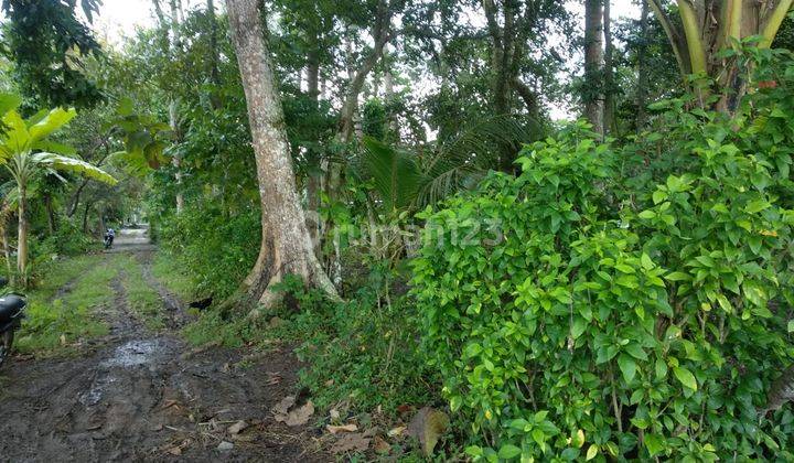 Tanah Pekarangan Di Jalan Wates-Purworejo Wates Kulonprogo Yogyakarta 3