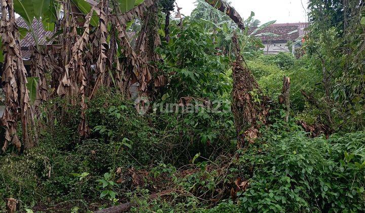 Tanah Pekarangan Di Pakem Harjobinangun Sleman Yogyakarta 1