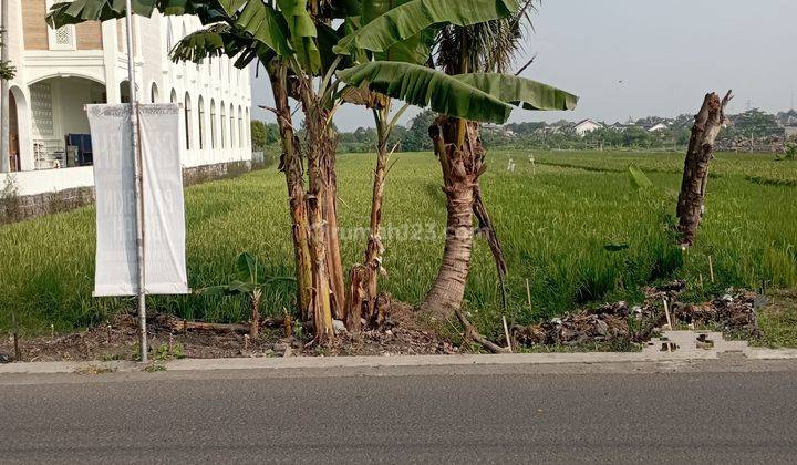 Tanah Sawah Di Sewon Bantul Jogjakarta 1