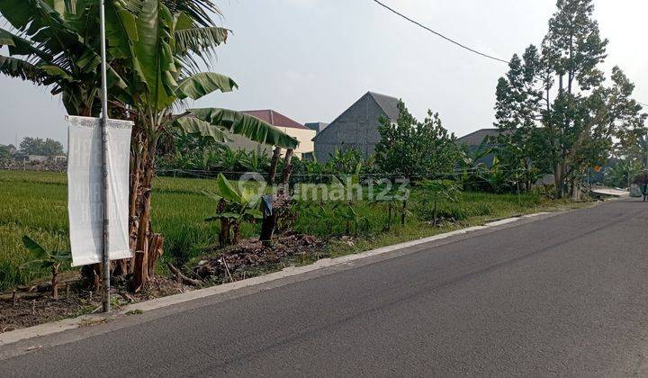 Tanah Sawah Di Sewon Bantul Jogjakarta 2