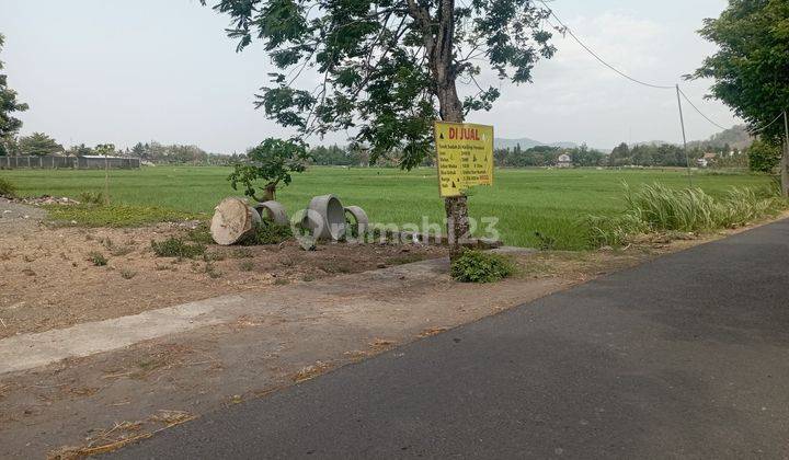 Tanah Pekarangan Luas 349 Meter Persegi Lokasi Pundong Bantul 2