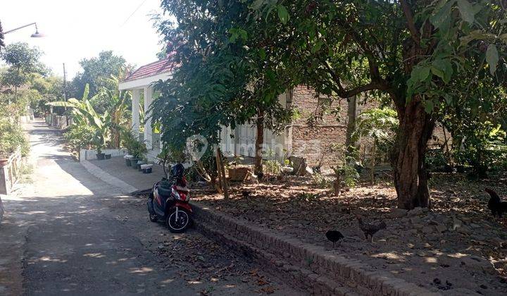 Tanah Pekarangan SHM Luas 184 Meter Persegi Lokasi Di Srimulyo Piyungan Bantul 2