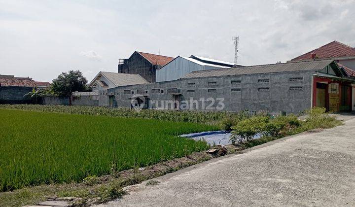 Tanah Sawah Luas 1126 Meter Persegi Lokasi Strategis di Berbah Sleman 1