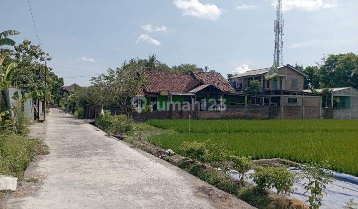 Tanah Sawah Luas 1126 Meter Persegi Lokasi Strategis di Berbah Sleman 2