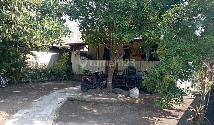 Rumah Tinggal Lokasi di Daerah Pendowoharjo Sewon Bantul 2